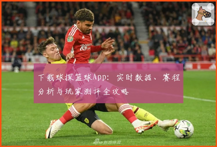 下载球探篮球App：实时数据、赛程分析与玩家测评全攻略