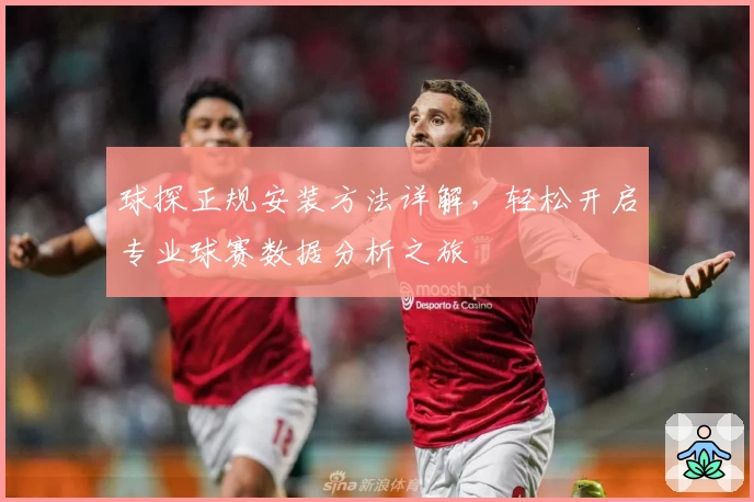 球探正规安装方法详解，轻松开启专业球赛数据分析之旅