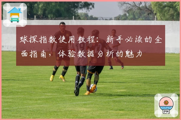 球探指数使用教程：新手必读的全面指南，体验数据分析的魅力