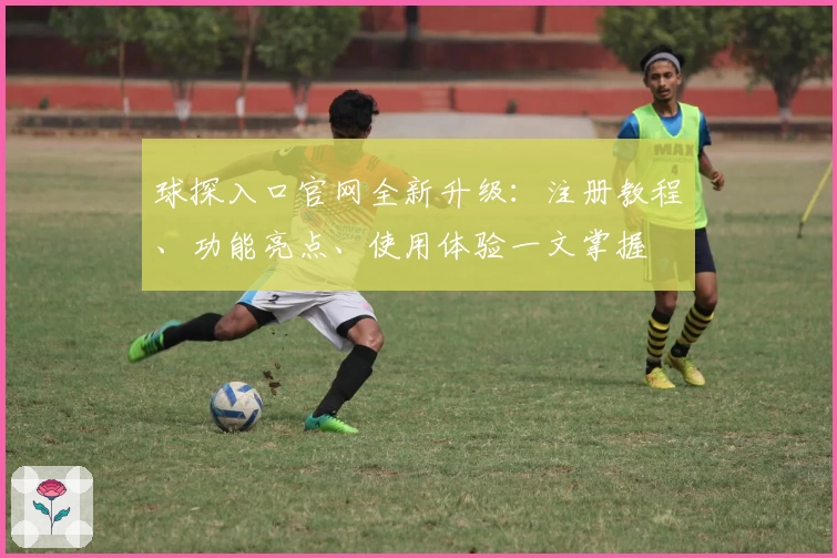 球探入口官网全新升级：注册教程、功能亮点、使用体验一文掌握