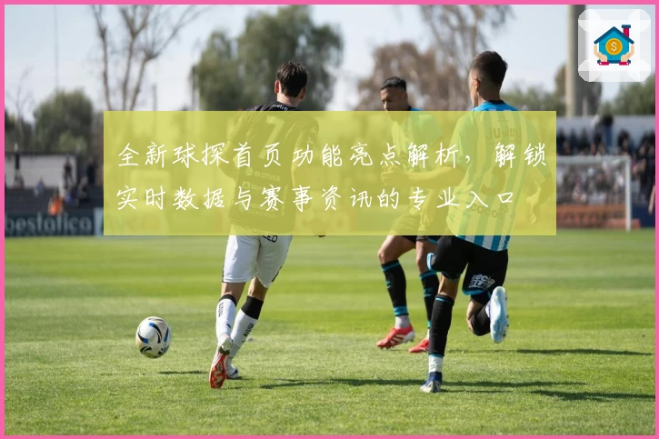 全新球探首页功能亮点解析，解锁实时数据与赛事资讯的专业入口