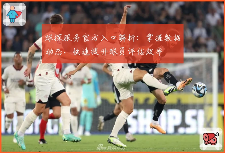 球探服务官方入口解析：掌握数据动态，快速提升球员评估效率