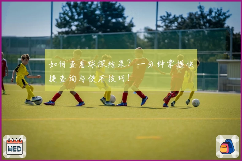 如何查看球探结果？一分钟掌握快捷查询与使用技巧！